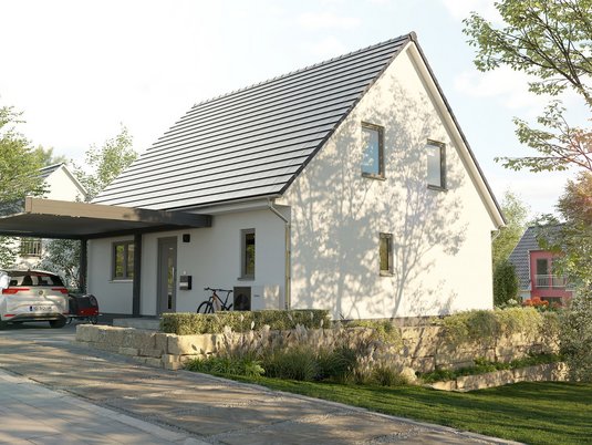 Einfamilienhaus-Flair-125-Eingang-Hang